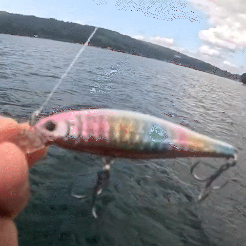 Embedded GIF