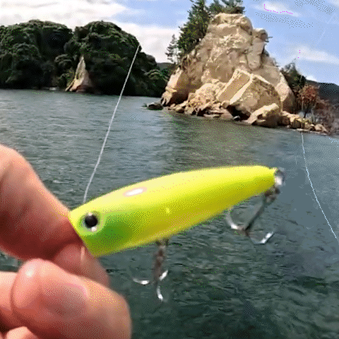 Embedded GIF