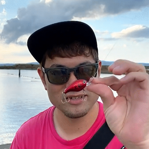 Embedded GIF