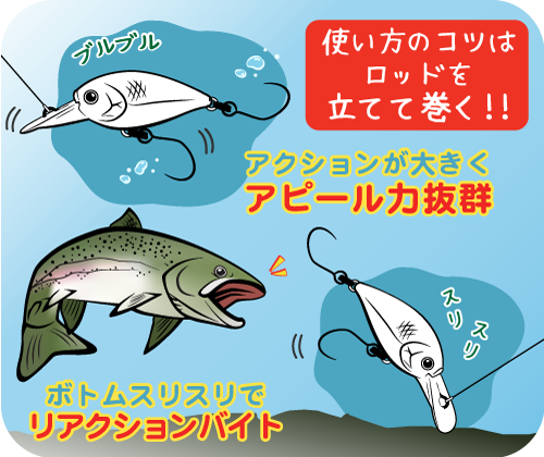 WIDE WOBBLE画像