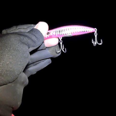 Embedded GIF