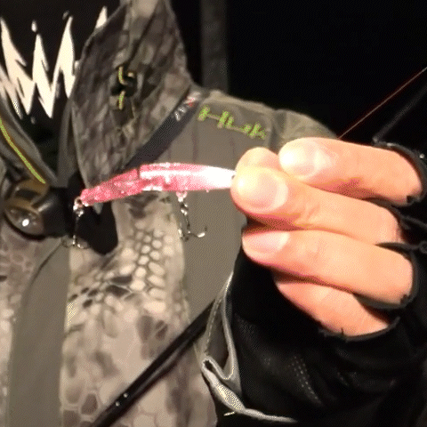 Embedded GIF
