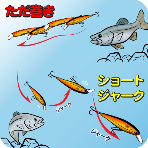 Swim画像