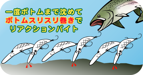 WIDE WOBBLE画像