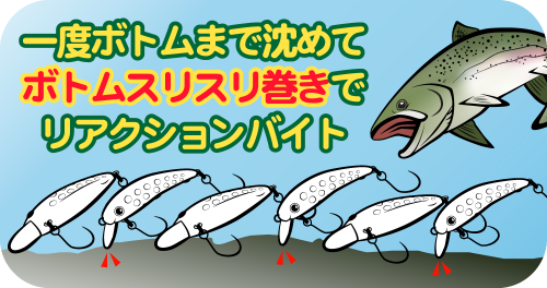 WIDE WOBBLE画像